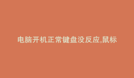 电脑开机正常键盘没反应,鼠标正常