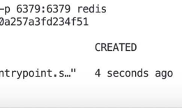 【Application】Docker 安装 Redis（七）