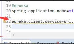 eureka ... is an unknown property 在 application.properties 中