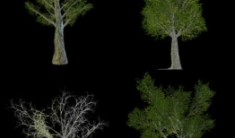 DirectX11 With Windows SDK--17 利用几何着色器实现公告板效果