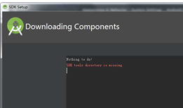 Android Studio 在安装时出现 SDK tool Directory is missing