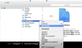 iOS - 工程文件冲突 - 解决方式