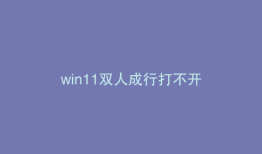 win11双人成行打不开