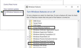[ASP.NET Core 3框架揭秘] 跨平台开发体验: Linux