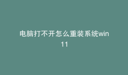 电脑打不开怎么重装系统win11