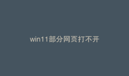 win11部分网页打不开