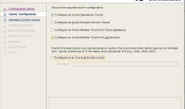 Linux平台 Oracle 18c RAC安装Part2：GI配置
