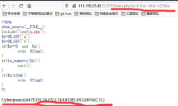 攻防世界XCTF--一个简单的PHP后端验证（第七题）