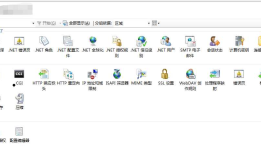 ApplicationHost.config(IIS存储配置区文件)