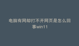 电脑有网却打不开网页是怎么回事win11