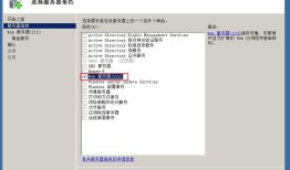 window 安装iis和使用