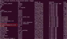 Apache-Tomcat-Ajp漏洞(CVE-2020-1938)漏洞复现