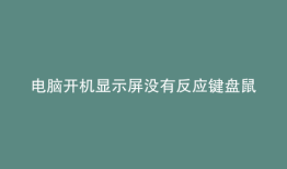 电脑开机显示屏没有反应键盘鼠标没反应