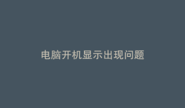 电脑开机显示出现问题