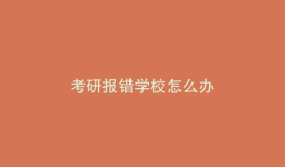 考研报错学校怎么办