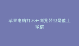 苹果电脑打不开浏览器但是能上微信