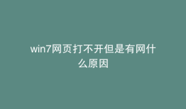 win7网页打不开但是有网什么原因