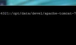 Apache Tomcat Manager 1.0