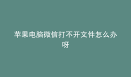 苹果电脑微信打不开文件怎么办呀