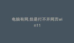 电脑有网,但是打不开网页win11