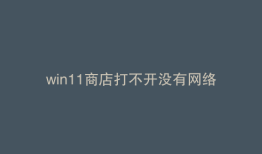 win11商店打不开没有网络