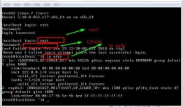 Django项目：CMDB(服务器硬件资产自动采集系统)--09--06CMDB测试Linux系统采集硬件数据的命令04