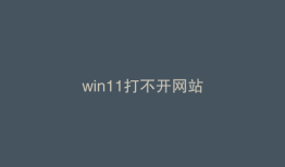 win11打不开网站