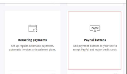 Paypal 支付功能的 C# .NET / JS 实现