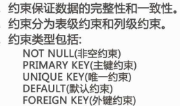mysql 约束