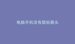 电脑开机没有鼠标箭头