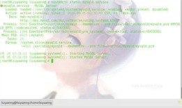 Python+MySQL开发医院网上预约系统（课程设计）一