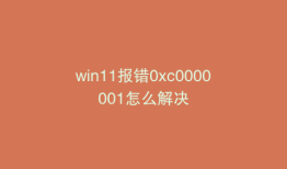 win11报错0xc0000001怎么解决