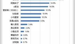 阿姨帮平台开发app