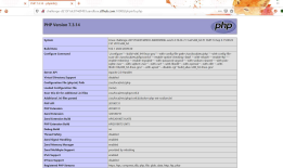 ctfhub技能树—信息泄露—PHPINFO