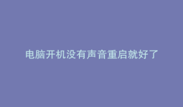 电脑开机没有声音重启就好了