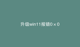 升级win11报错0×0