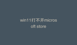 win11打不开microsoft store