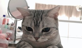 2019-11-29-dotnet-core-使用-GBK-编码