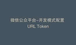 微信公众平台-开发模式配置 URL Token