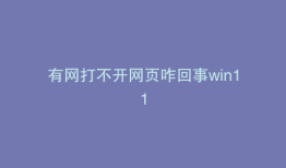 有网打不开网页咋回事win11