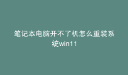 笔记本电脑开不了机怎么重装系统win11