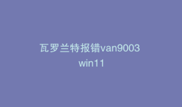 瓦罗兰特报错van9003 win11