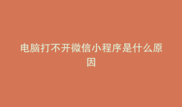 电脑打不开微信小程序是什么原因
