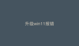 升级win11报错