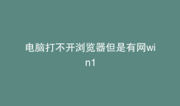 电脑打不开浏览器但是有网win1