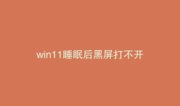 win11睡眠后黑屏打不开
