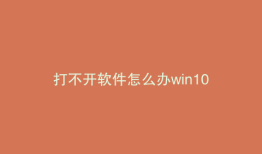 打不开软件怎么办win10