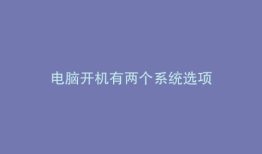 电脑开机有两个系统选项