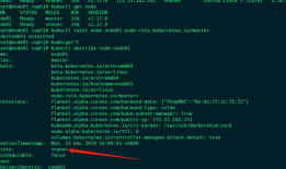 设置Kubernetes master可调度pod