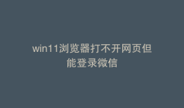 win11浏览器打不开网页但能登录微信